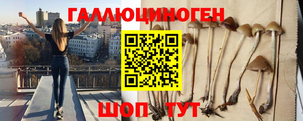 Псилоцибиновые грибы мухоморы  Вход с VPN  магазин продажи   Нижний Новгород 